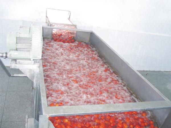 Fresh Tomato Receiving Tank/Stainless Steel Elevator