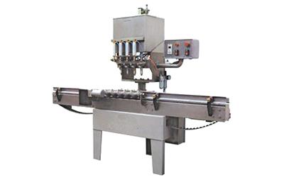 Automatic Straight Line Paste Filling Machine