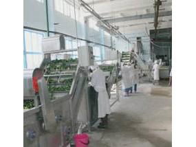 Canned Cucumber Processing Line