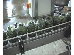 Canned Cucumber Processing Line