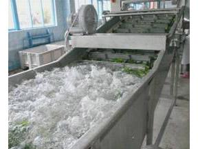 Canned Cucumber Processing Line