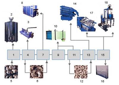 Cashew Processing Equipment
