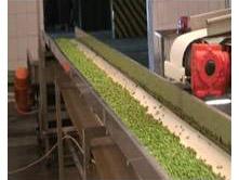 Canned Beans Processing Line